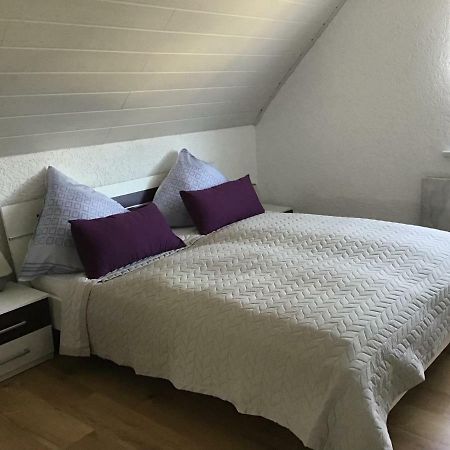 Ferienwohnung Elina Maxhutte-Haidhof エクステリア 写真