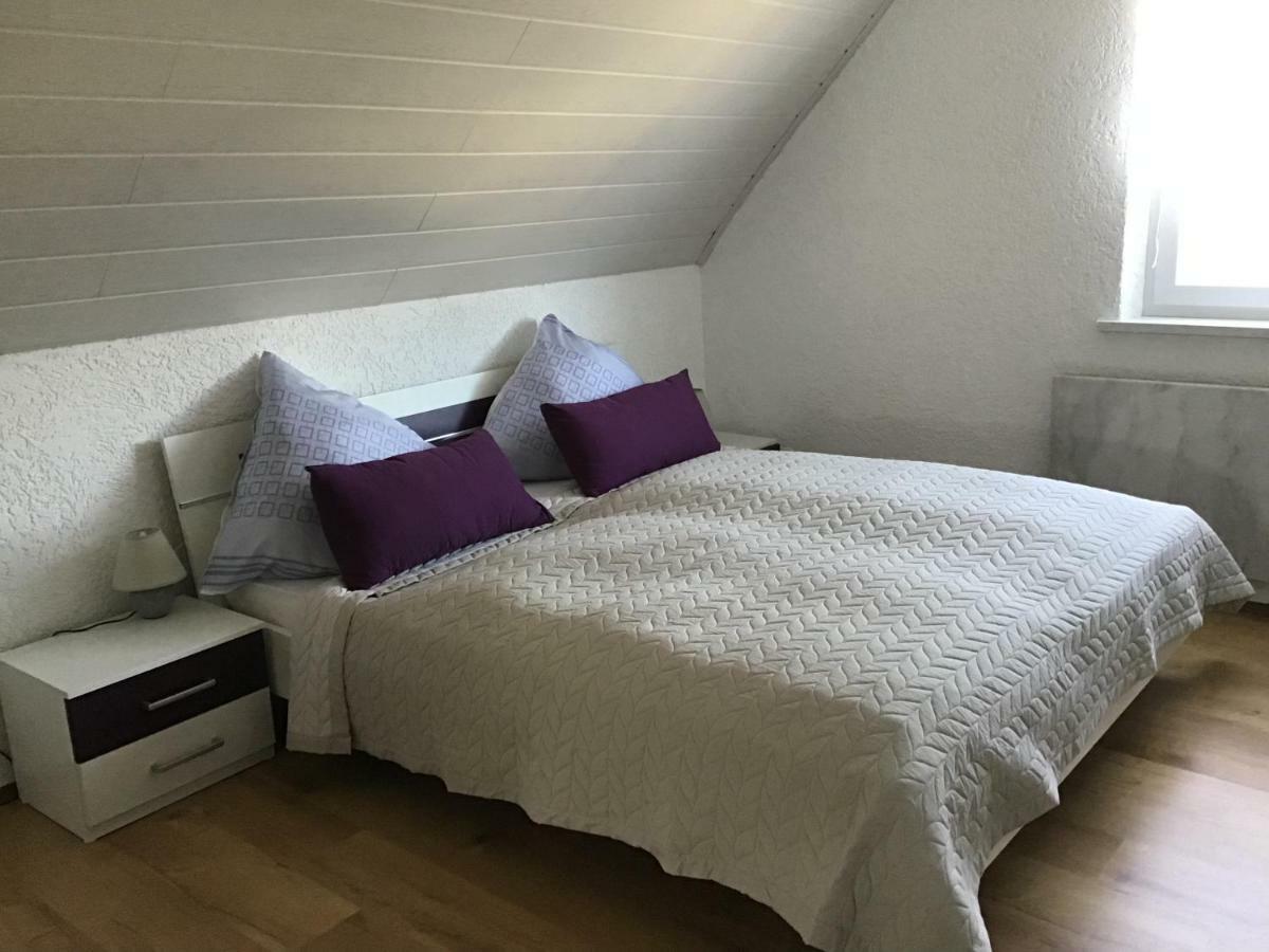 Ferienwohnung Elina Maxhutte-Haidhof エクステリア 写真